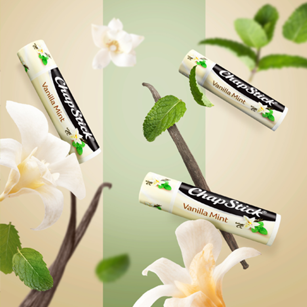 
                  
                    ChapStick® Fan Favorites Vanilla Mint Lip Balm (0.15 ounce, box of 12)
                  
                